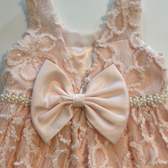 American Princess Pink Floral Pearl Rhinestone Waist Sleeveless Dress 4 Kids - Picture 7 of 14